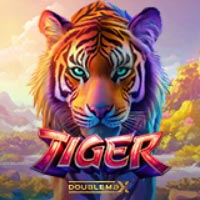STAR88 - Tiger DoubleMax | star88
