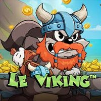 STAR88 - le Viking | slot online