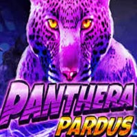 STAR88 - Panthera Pardus | star88